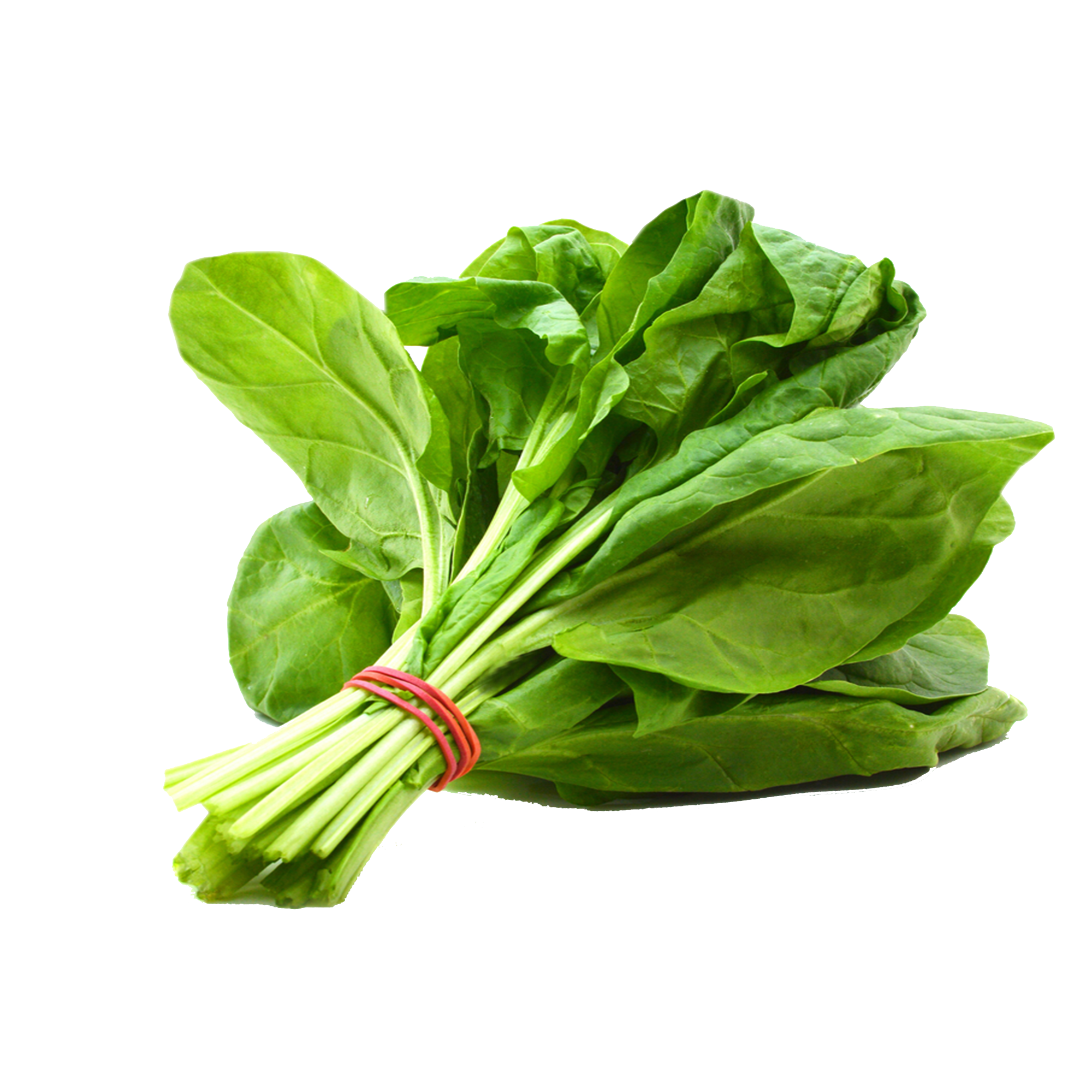 a bundle of spinach
